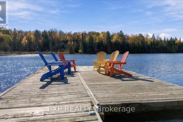 Kitchen - 56 Gilmour Point Road, North Kawartha, ON K0L1A0 Photo 3