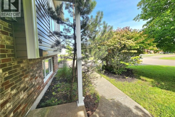 Recreation room - 56 Mailhot Avenue, Moncton, NB E1G1V1 Photo 4