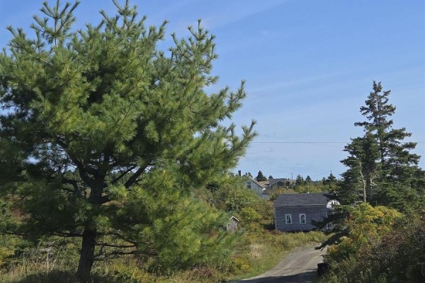 56 North Road, Charlos Cove, NS B0H1T0 Photo 4