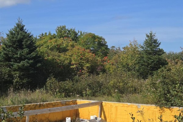 56 North Road, Charlos Cove, NS B0H1T0 Photo 5
