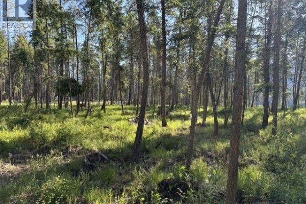 5600 Christian Valley Road, Westbridge, BC V0H1Y0 Photo 4