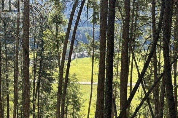 5600 Christian Valley Road, Westbridge, BC V0H1Y0 Photo 5