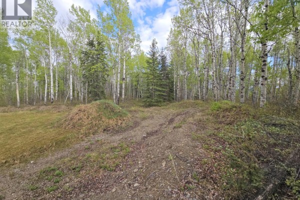 5600 Rifle Range Road, Chetwynd, BC V0C1J0 Photo 4