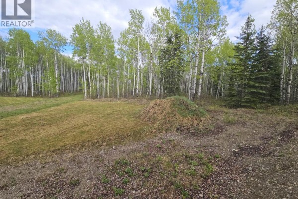 5600 Rifle Range Road, Chetwynd, BC V0C1J0 Photo 5