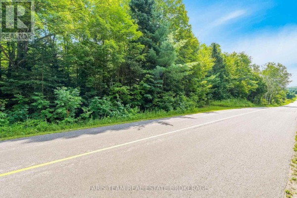 5609 Line 4 N, Oro Medonte, ON L0K1N0 Photo 5