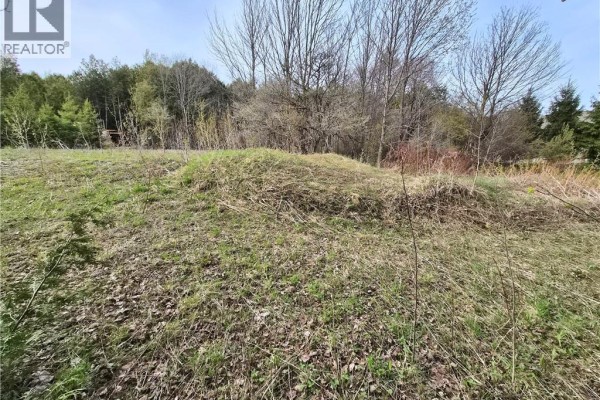 5618 5th Line, Palmerston, ON N0G2P0 Photo 4