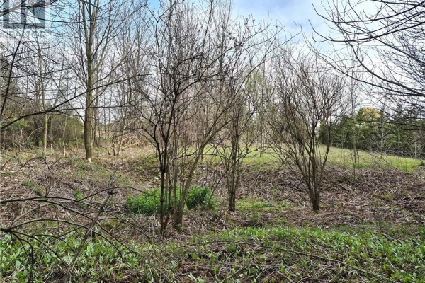 5618 5th Line, Palmerston, ON N0G2P0 Photo 5