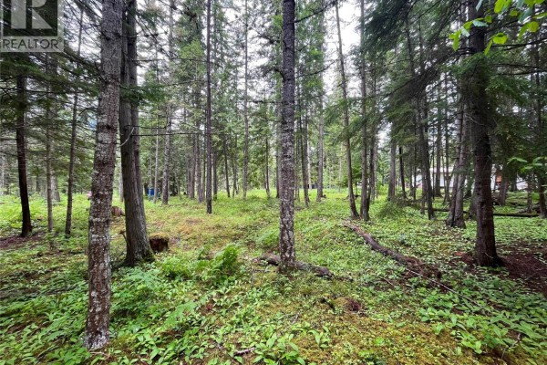 5619 6 Highway, Burton, BC V0G1R0 Photo 3