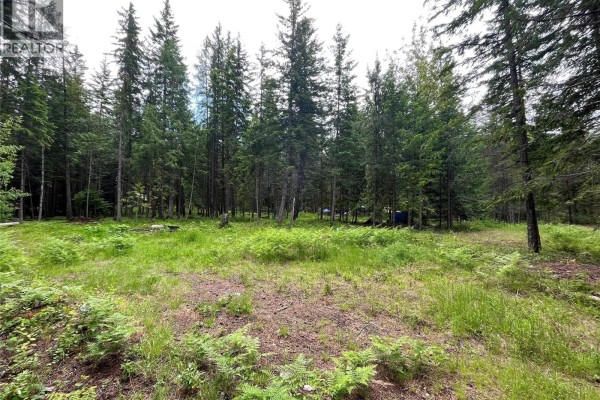 5619 6 Highway, Burton, BC V0G1R0 Photo 5