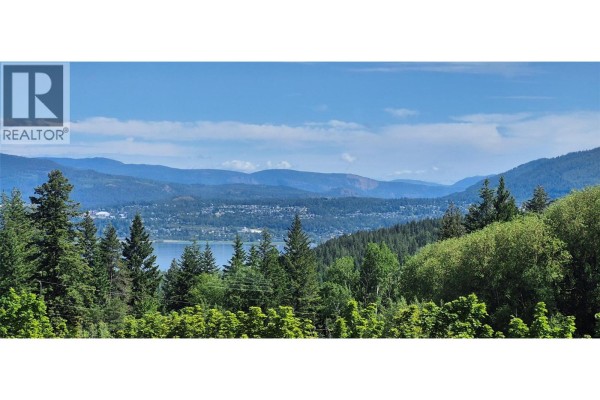 Other - 5641 50 Street Nw, Salmon Arm, BC V1E3A6 Photo 4