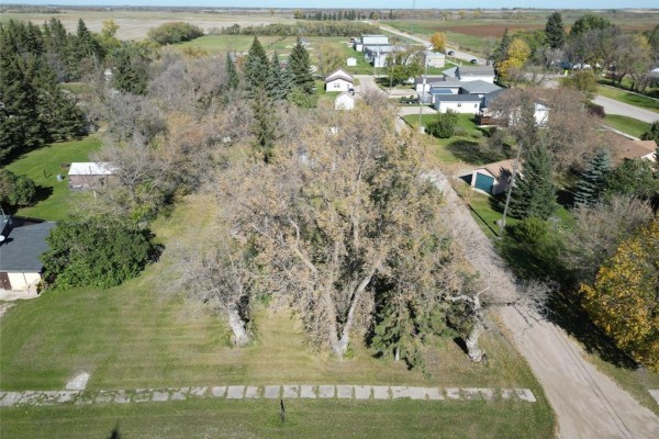 Expansive green lot with scattered trees, a white greenhouse, and a distant building under a cloudy sky. - 565 Laughlin Street, Cartwright