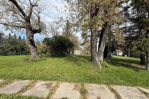 Wide, green lawn with mature trees in the foreground and background, featuring a residential house and blue sky. - 565 Laughlin Street, Cartwright