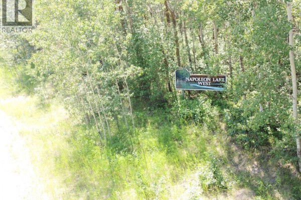 5650 Lakeside Way, Innisfail, AB T4G0H4 Photo 4