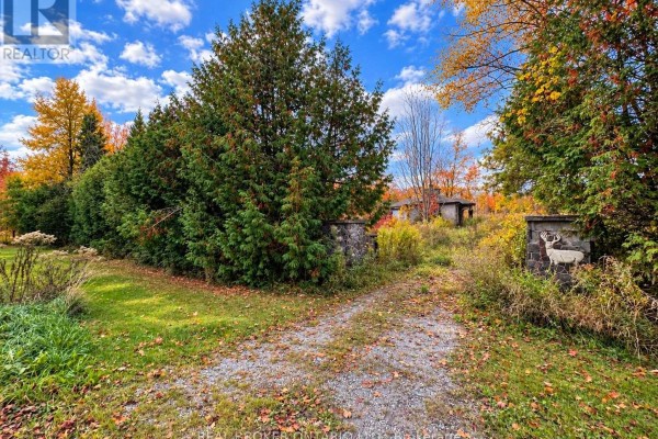 5654 Willison Side Road, Ramara, ON L3V6H5 Photo 3