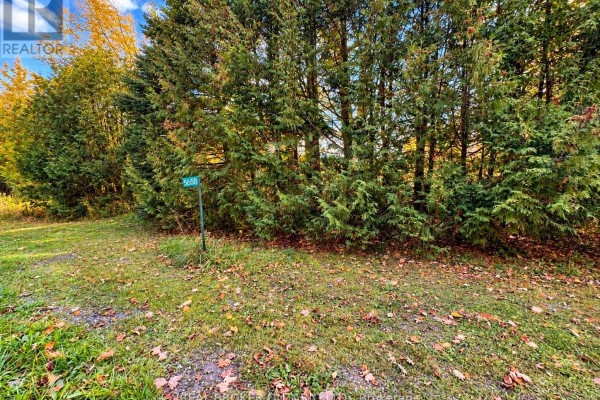 5658 Willison Side Road, Ramara, ON L3V6H6 Photo 3