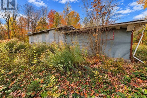 5670 Willison Side Road, Ramara, ON L3V6H6 Photo 5