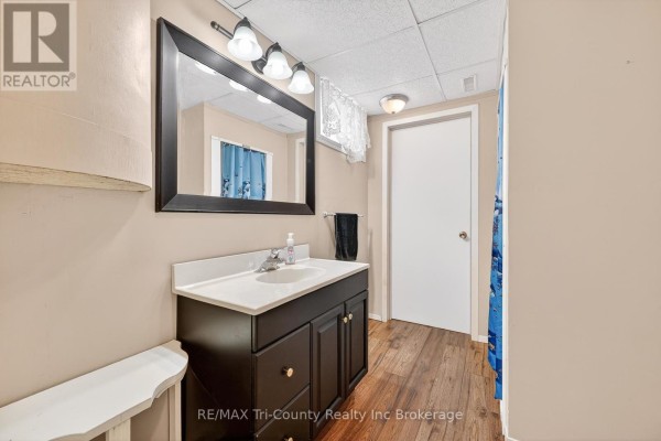 Bathroom with vanity, sink, mirror, and wood-look flooring - 568 7th Concession Enr Road Norfolk