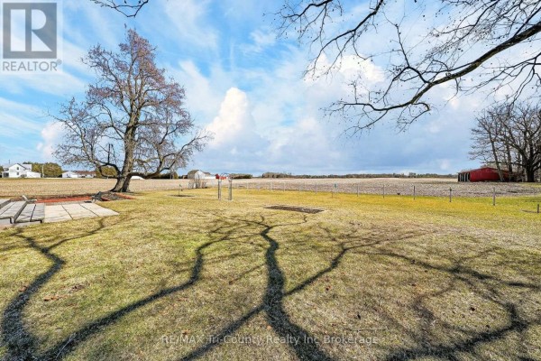 Mature tree and red barn in yard - 568 7th Concession Enr Road Norfolk