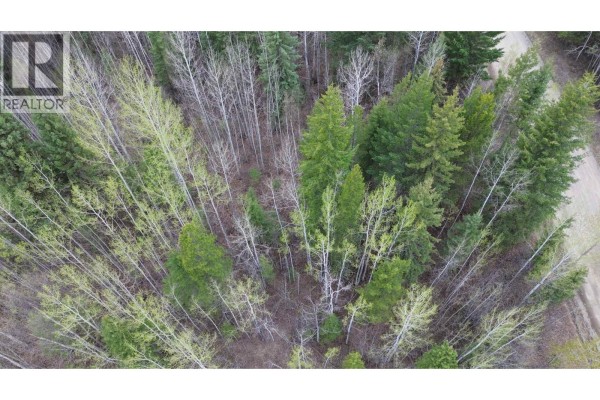 Aerial view looking down at a dense forest with a mix of deciduous and evergreen trees. - 568 Marsh Road, Quesnel