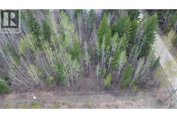 Overhead drone view of a wooded property with a rough dirt path visible on the right side. - 568 Marsh Road, Quesnel