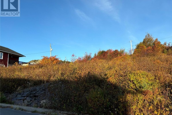 57 Badcock Boulevard, Bay Roberts, NL A0A1G0 Photo 2