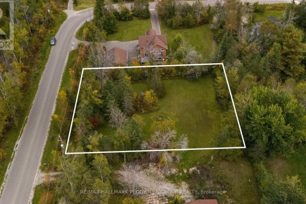 Aerial view of a cleared grassy lot outlined in white, surrounded by trees and homes. - 57 Bass Bay Drive, Tay