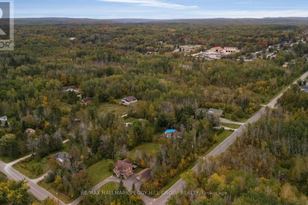 Aerial view of a rural neighborhood with scattered homes nestled among numerous trees. - 57 Bass Bay Drive, Tay
