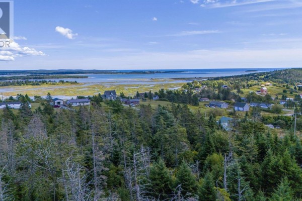 Panoramic view of forested area overlooking water and nearby houses. - 57 Conrod Road, Grand Desert