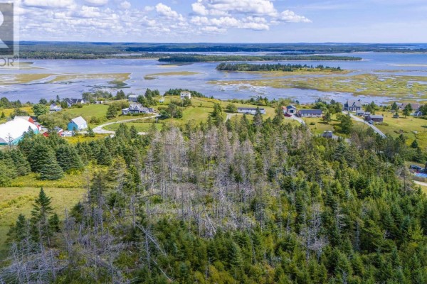Aerial shot of wooded land with marsh and residential properties in the distance. - 57 Conrod Road, Grand Desert
