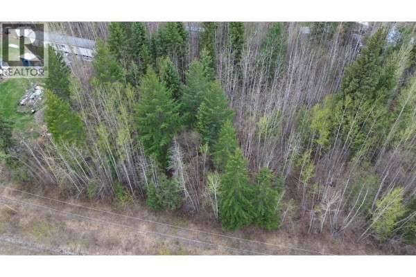 Aerial view of a dense forest with deciduous and coniferous trees, showing a partially cleared area. - 570 Marsh Road, Quesnel