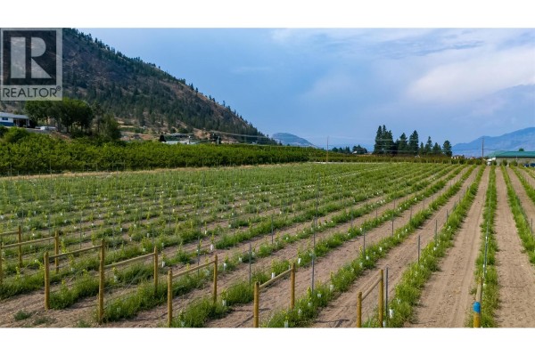 Storage - 5711 White Street, Summerland, BC V0H1Z7 Photo 4