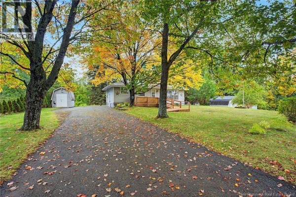 Asphalt driveway leading to a single-story house with a metal roof and attached garage, surrounded by trees. - 5724 Route 105, Mill Cove