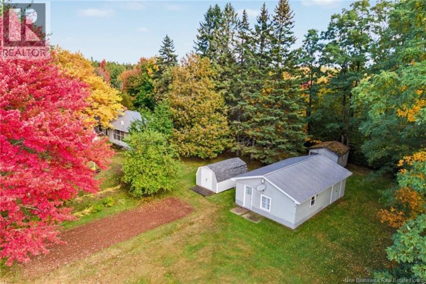 Aerial view of a light gray, single-story house with a metal roof, nestled among colorful autumn trees and outbuildings. - 5724 Route 105, Mill Cove