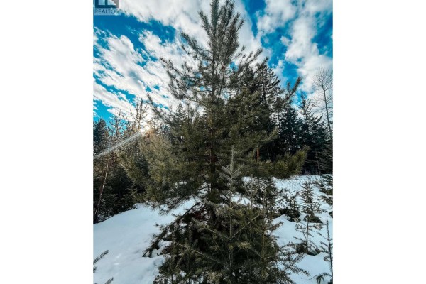 5724 Timothy Lake Road, Lac La Hache, BC V0K1T0 Photo 4