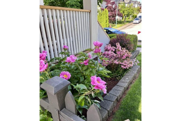 5776 149 Street, Surrey, BC V3S8W4 Photo 5