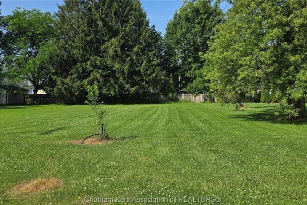 58 Albert Avenue, Ridgetown, ON N0P1C0 Photo 2