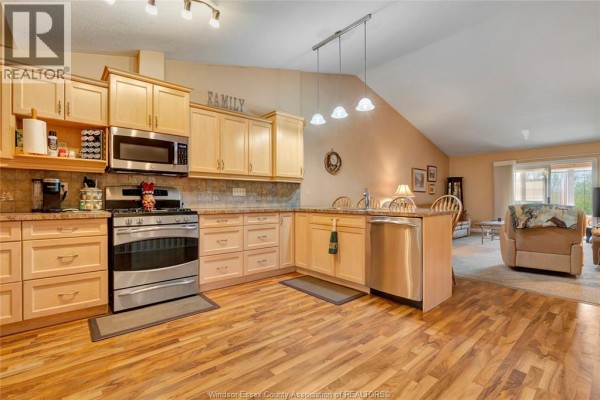 Laundry room - 58 Queen's Hill, Leamington, ON N8H5M5 Photo 4
