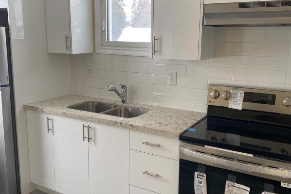 Kitchen - 582 Garafraxa Street S, West Grey, ON N0G1R0 Photo 4