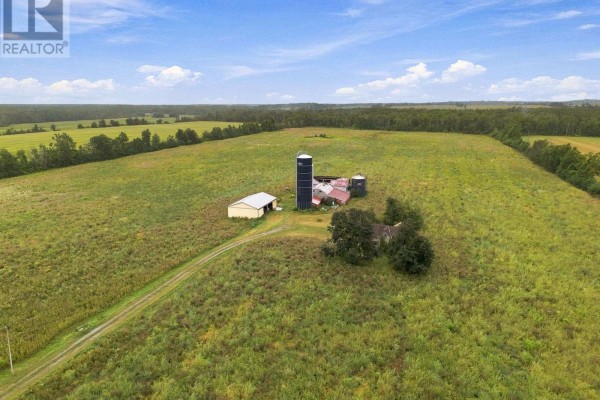 583 Hillhead Road, Kawartha Lakes, ON K0L2X0 Photo 5