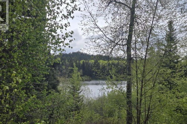 Snow-covered ground with trees, including evergreens and bare deciduous trees, overlooking a partially frozen lake. - 5858 Mahood Lake Road, Lone Butte