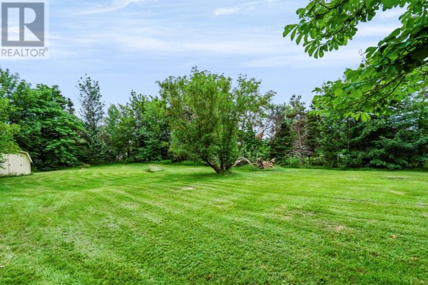 Expansive green lawn with a large tree in the center, surrounded by various trees and foliage. - 59-65 Cross Road, Bay Roberts