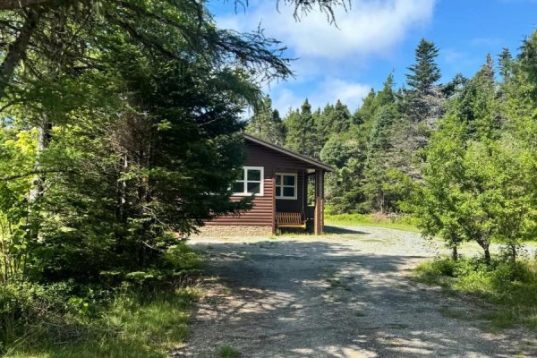 Bedroom - 59 Barbour Avenue, Sandy Cove, NL A0G1Z0 Photo 5