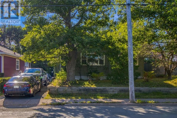 59 Carpasian Road, St  John S