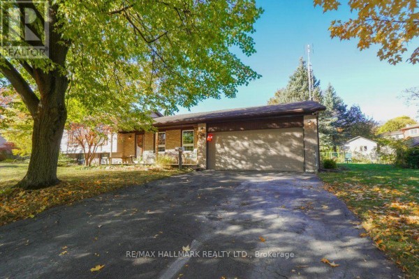 Kitchen - 59 Mayvern Crescent, Richmond Hill, ON L4C5J6 Photo 3