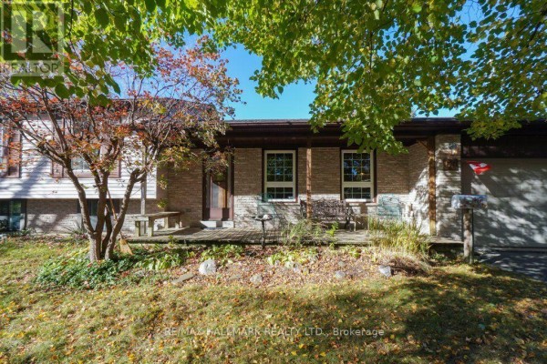 Family room - 59 Mayvern Crescent, Richmond Hill, ON L4C5J6 Photo 4