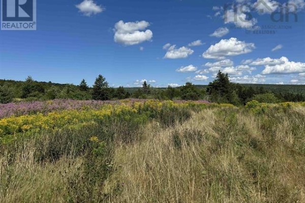 5907 395 Highway, South West Margaree, NS B0E3H0 Photo 5