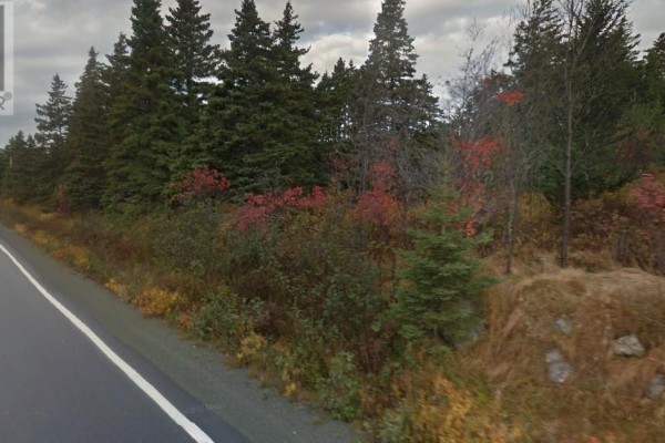 592-602 Conception Bay Highway, Harbour Main, NL A0A1B0 Photo 2