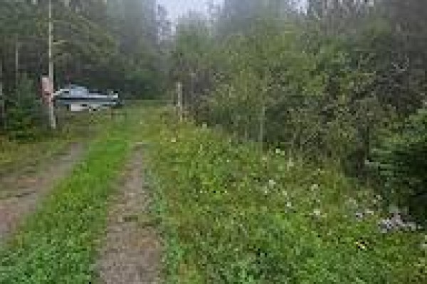 A dirt path leads into a wooded area with a truck parked near a gate post. - 5937 Highway 11/17, Conmee