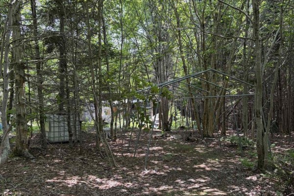 594 Whycocomagh Mountain Rd, Whycocomagh, NS B0E3M0 Photo 5