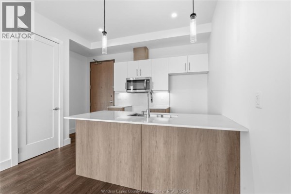 Kitchen - 595 Lilymac Unit# 206, Windsor, ON N6E3N7 Photo 5